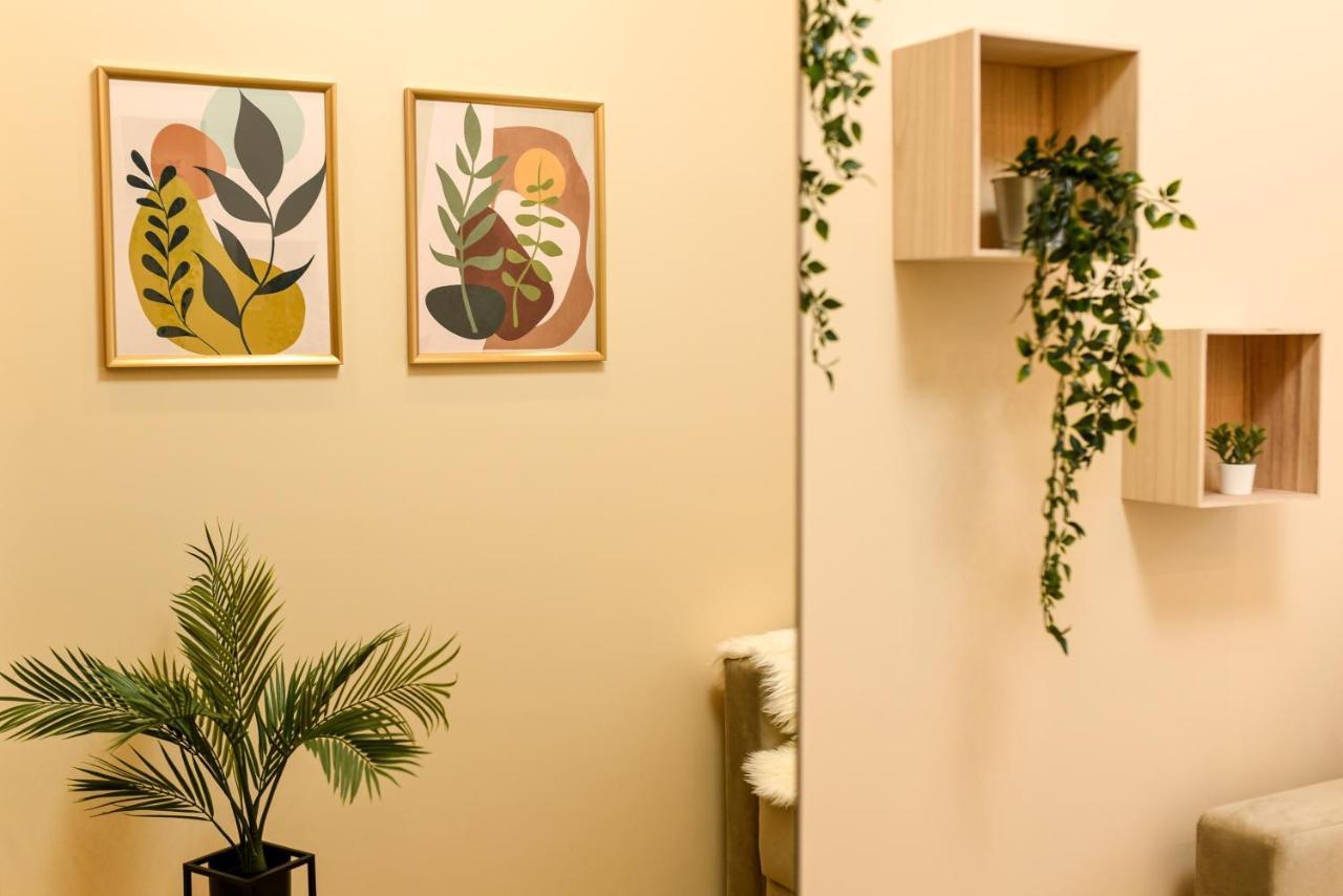 Green Leafy Brasov - Ideal 2 Bedroom Apartment Экстерьер фото